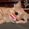 kat_disaster