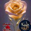 warda64572