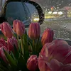 iraqi_noon