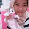 dinn_rarrrrr
