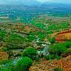 abi.merad