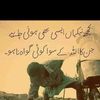 mudassar.darogha