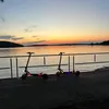 filiprojnic