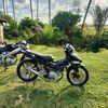 m_alfiqry