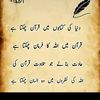zafar.ismail1
