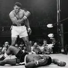 user196480291
