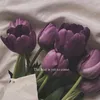 s_dx_12