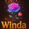 windaaa828gmail.com0