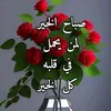 qqaawwssqqaawwss21