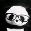zebunbun12