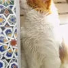 zahra.moumen