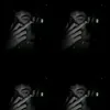 nitt_ernc