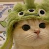 miauww9lovers