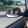 amelia_09112