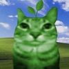 riddp_5