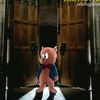 luvforkanye