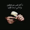 noor.alhada.noor