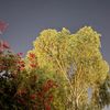 a30_jabri