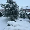 anna.5779