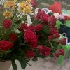 narges2571
