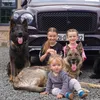 Protection K9 Scotland