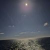 wolftheseapasific0650