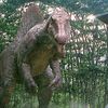 artkops_irritator