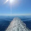 tvoja.mama936
