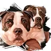 bullyboyk9s