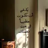 za_ai96