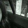 katta_7388