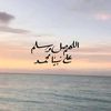 mahmoud.fawzi74