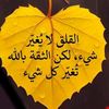 user707040812946