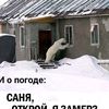 user10160967729661