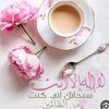 user6181180317408