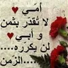 user8034758521534
