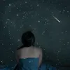 star30191