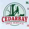 cedarbaytreeservic