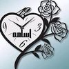 user47781849661055