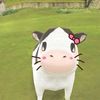kaila.official3