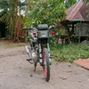msloftjanjantv