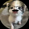 nhoanh_he2