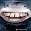quanghok123