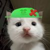 usermqx13_