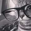 meow_.n_.e