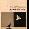 user3360553429112