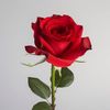 raju.ahmed831