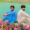 tahir.8048