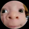 taolomaylamgiduoctao