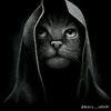user6145292763108